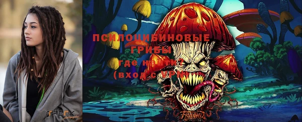 амф Приозерск