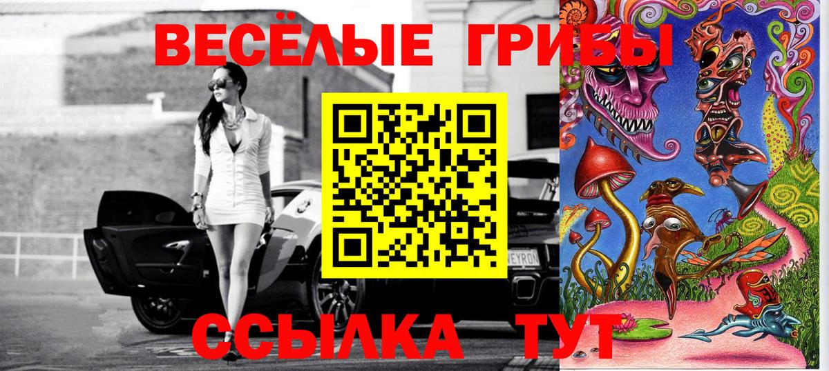 Псилоцибиновые грибы мицелий Соликамск