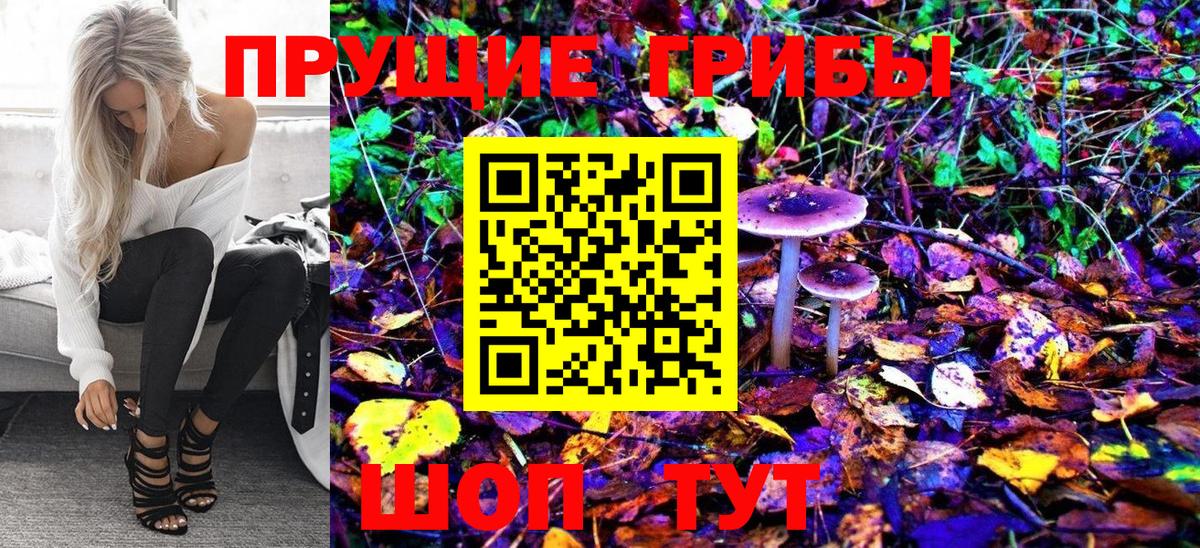 Псилоцибиновые грибы мицелий Соликамск