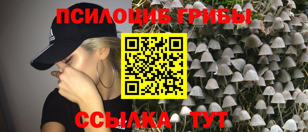 Соликамск  Псилоцибиновые грибы ЛСД  Вход с VPN 
