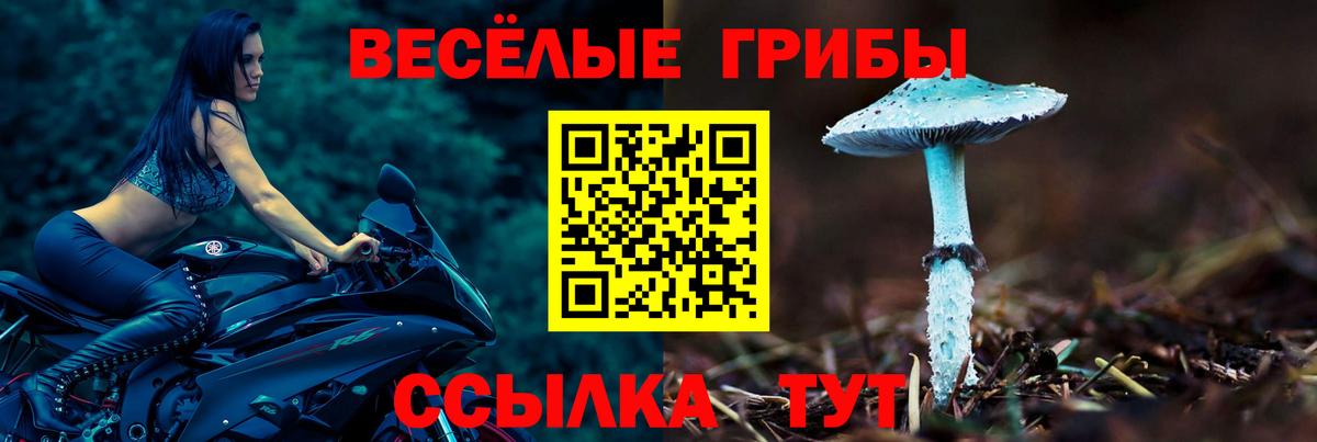 Псилоцибиновые грибы Magic Shrooms  Соликамск  Псилоцибиновые грибы Cubensis 